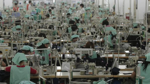 La UE pacta prohibir la comercializaci贸n de productos elaborados con trabajo forzoso - Revista PLUS