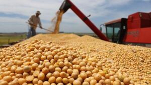 Vamos al grano: Paraguay inicia el 2024 con un aumento del 92% en el procesamiento de soja