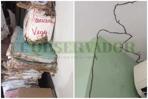 Termitas corroen juzgado de paz de Lambaré, como la corrupción carcome al Poder Judicial