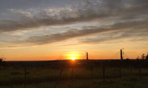 Mitad de semana con ambiente cálido a caluroso y vientos del sur