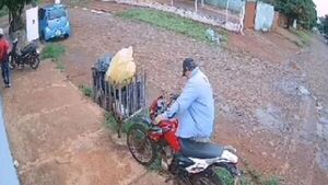 Al menos 30 gatos son arrojados en bolsas al costado de la cárcel de Pedro Juan Caballero