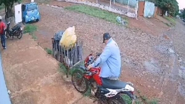 Al menos 30 gatos son arrojados en bolsas al costado de la cárcel de Pedro Juan Caballero