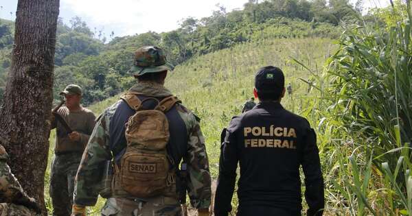 Diario HOY | Golpe a narcos: Paraguay y Brasil realizan la primera gran operación del año
