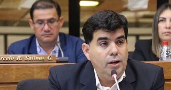 La Nación / Liberal oficialista afirma que consenso en Diputados permite ejercer el “contrapeso”