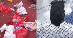 Diario HOY | Terrible crueldad: tiraron bolsas con 30 gatos vivos