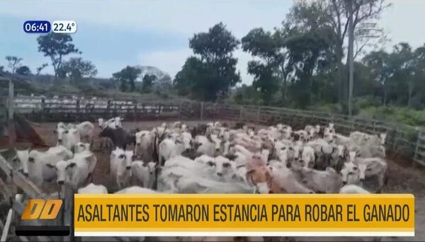 Asaltantes tomaron estancia para robar el ganado | Telefuturo