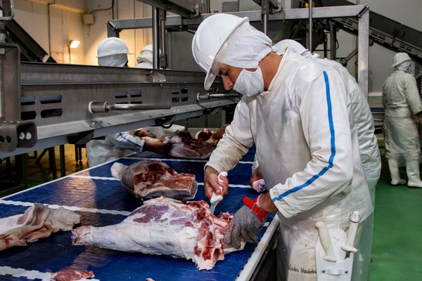 La carne porcina paraguaya conquista el mercado taiwan茅s - Revista PLUS
