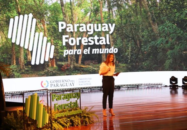 Lanzan portal para conocer dinámica de sus bosques y posicionar al sector forestal - El Independiente