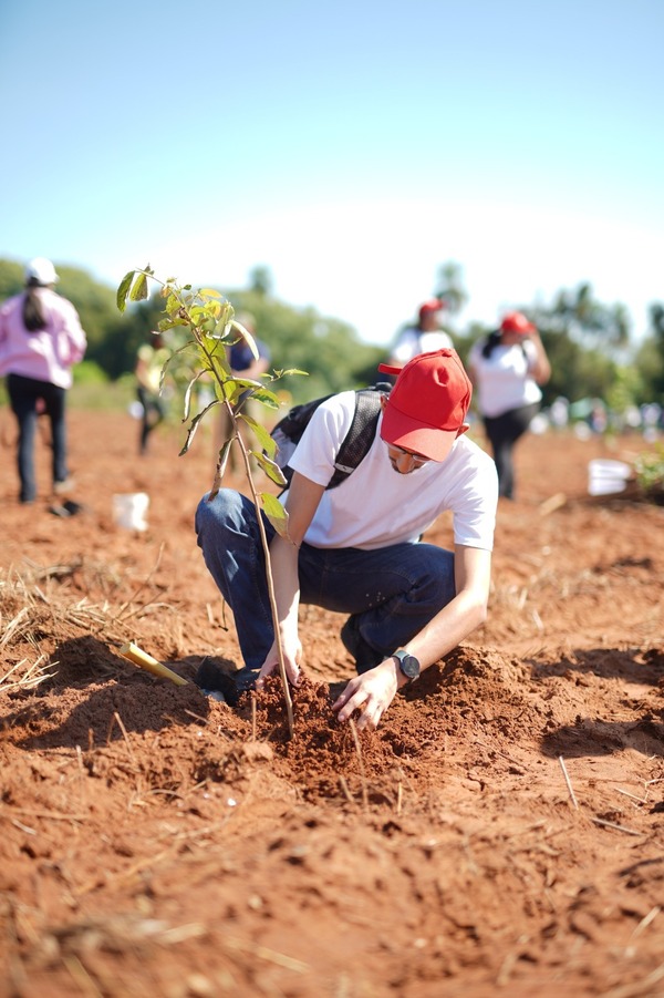 A todo pulmón: ‘Paraguay Planta’ busca sumar voluntarios