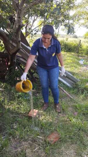 Disminuyen las notificaciones de casos de dengue en Ayolas - Nacionales - ABC Color