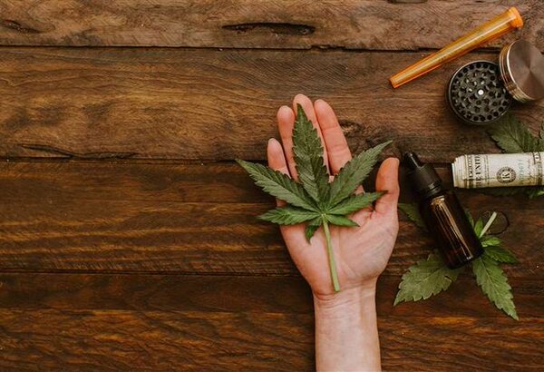 Corte suprema de Brasil retoma juicio clave para despenalizar consumo de marihuana