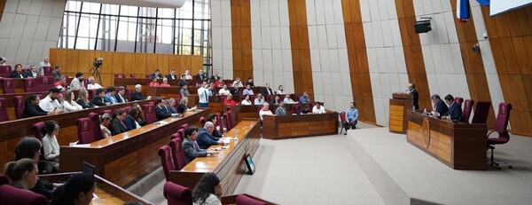 El dilema de COPACO es reencauzar o morir se destaca en audiencia pública en Senado - La Tribuna