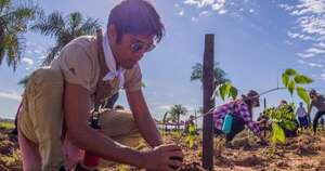 Diario HOY | ‘Paraguay Planta’: buscan voluntarios para una nueva jornada de plantación
