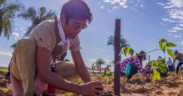 Diario HOY | ‘Paraguay Planta’: buscan voluntarios para una nueva jornada de plantación