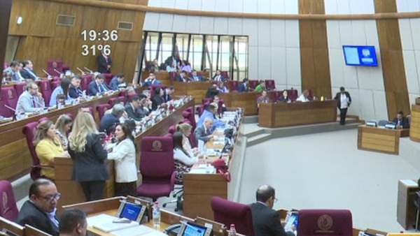 Diputados disidentes cuestionan el "blanqueo" - SNT