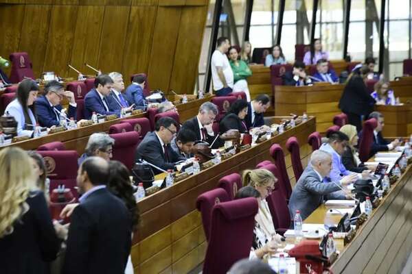 Cámara de Diputados: repudian nuevo retroceso en materia de equidad, tolerancia e inclusión - Política - ABC Color