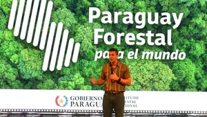 Infona lanza portal sobre bosques y usos de la tierra, ante presión de UE