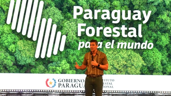 Infona lanza portal sobre bosques y usos de la tierra, ante presión de UE