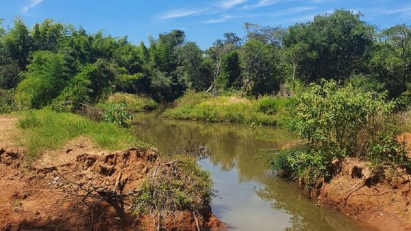 HOMBRE SE AHOGÓ EN UN ARROYO DE JOSÉ LEANDRO OVIEDO - Itapúa Noticias