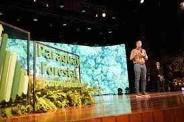 Portal de Bosques y Usos de la Tierra: nueva plataforma del Infona para la gestión forestal sostenible