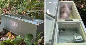 ¡Horror! Encuentran el cuerpo de una mujer en una heladera: una relación prohibida sería el trasfondo