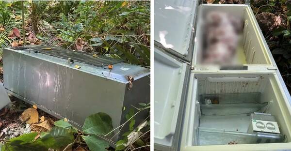 ¡Horror! Encuentran el cuerpo de una mujer en una heladera: una relación prohibida sería el trasfondo