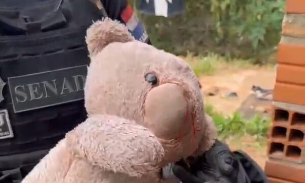 (VIDEO)Agentes de la SENAD capturaron al oso TED y sus cómplices