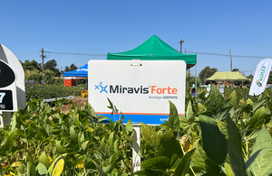 Syngenta propone a productores Miravis Forte para el mejor manejo de enfermedades en soja