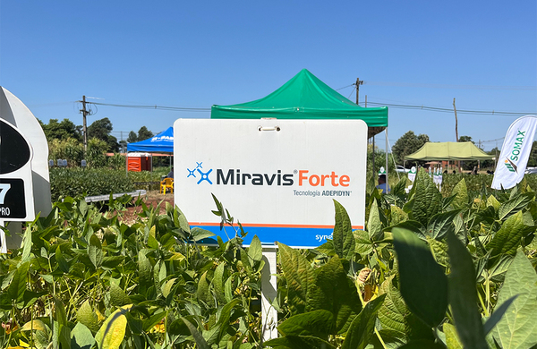 Syngenta propone a productores Miravis Forte para el mejor manejo de enfermedades en soja