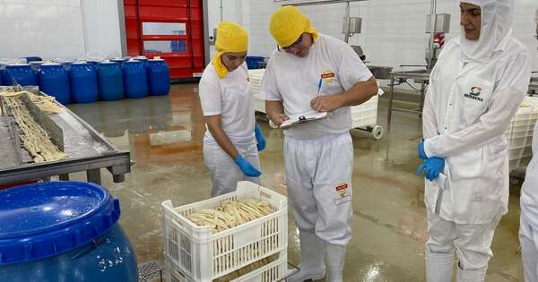 La Nación / Supervisan que plantas frigoríficas cumplan con normativas ante próximas auditorías