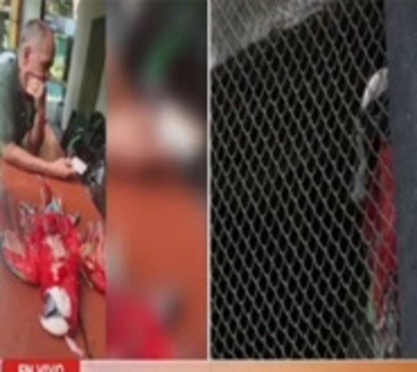 Disparan y matan a un guacamayo rojo en Luque - Paraguay.com