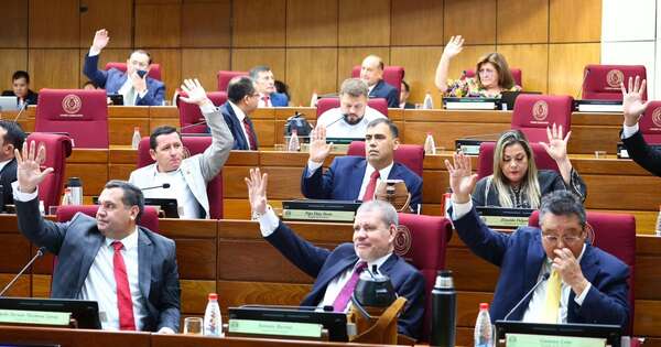 La Nación / Senado modifica proyecto de ley de prevención, control y erradicación de violencia en el deporte