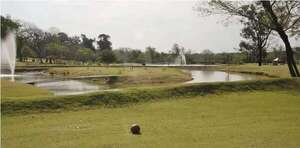 Asunción Golf Club: concejales piden informe sobre posible desalojo - Nacionales - ABC Color