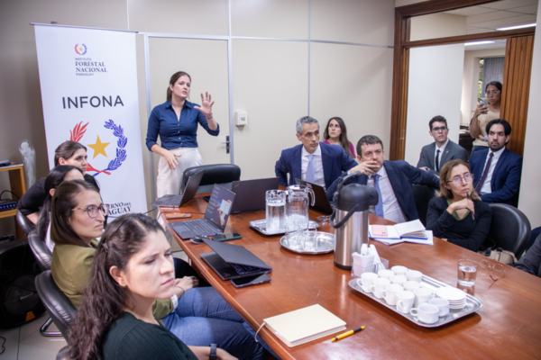 Unión Europea destaca avances del Gobierno para garantizar la producción libre de deforestación - .::Agencia IP::.