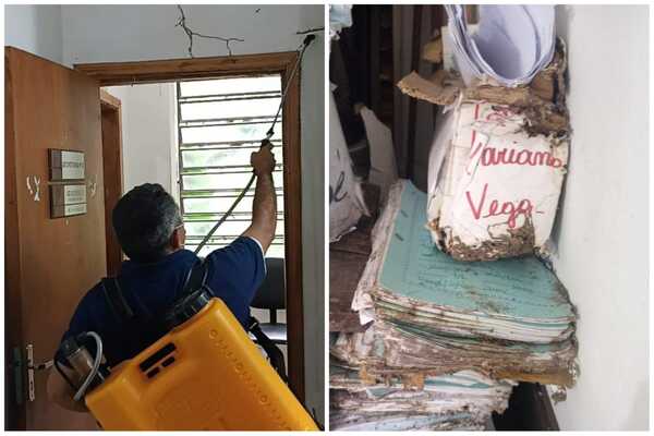 Fumigan juzgado de paz de Lambaré que era carcomido por las termitas