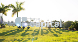 Basa Capital: Un aliado estratégico para el éxito empresarial - ADN Digital