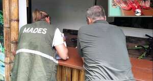 Diario HOY | Criminal: hombre que mató a guacamayo se expone a severa sanción