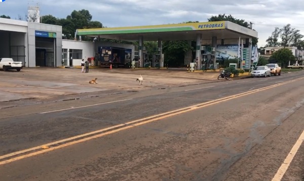 CNEL. BOGADO: BUSCAN IDENTIFICAR A ASALTANTE QUE SE LLEVÓ 10. MILLONES - Itapúa Noticias