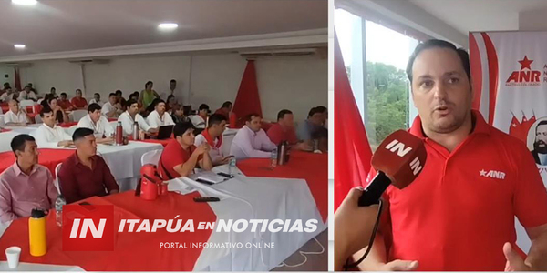SEBASTIÁN REMEZOWSKI: “QUEREMOS HONESTIDAD, GESTIÓN Y TRABAJO EN LA ANR” - Itapúa Noticias