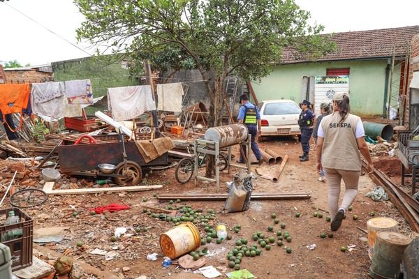 Minga ambiental en Paraguarí: SENEPA visitó las casas para combatir criaderos de mosquitos - Unicanal
