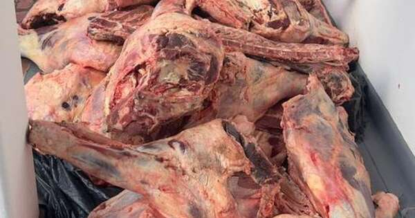 La Nación / Se incautan de 2.200 kilos de carne, presumiblemente de contrabando