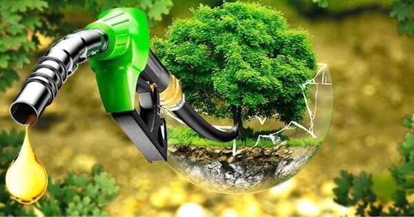 La Nación / Buen clima de negocios impulsa el sector de energías renovables
