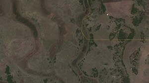 Avanza invasión en refugio natural y pone en peligro hábitat silvestre
