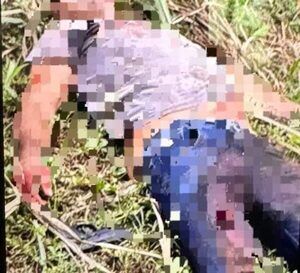 El criminal Carlos Cabrera Carrera cae abatido tras enfrentamiento con la policía en la zona sur – Diario TNPRESS