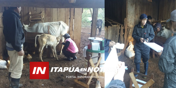 IMPORTANTE REUNIÓN CON LA JICA PARA FORTALECER PRODUCCIÓN LECHERA EN ITAPÚA - Itapúa Noticias
