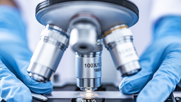 Investigadores descubren la proteína responsable de la sensación de frío