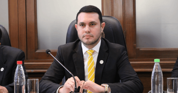 Caso título falso: ¿Qué decidió el Tribunal de Apelaciones?