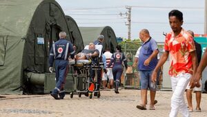La crisis del dengue en Brasil es una advertencia para el mundo - El Independiente