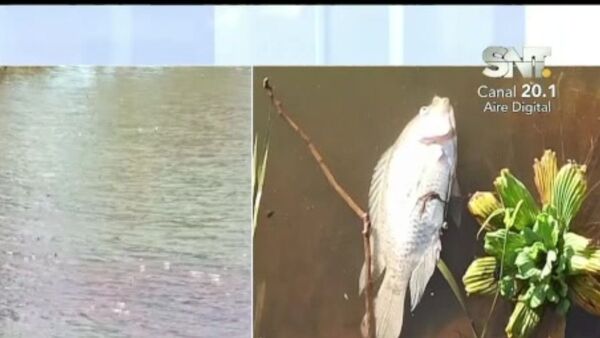 CDE: Mortandad de peces en el Lago de la República. - SNT