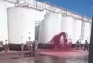 Video: se derramaron 15.000 litros de vino en Mendoza por una falla técnica - Mundo - ABC Color